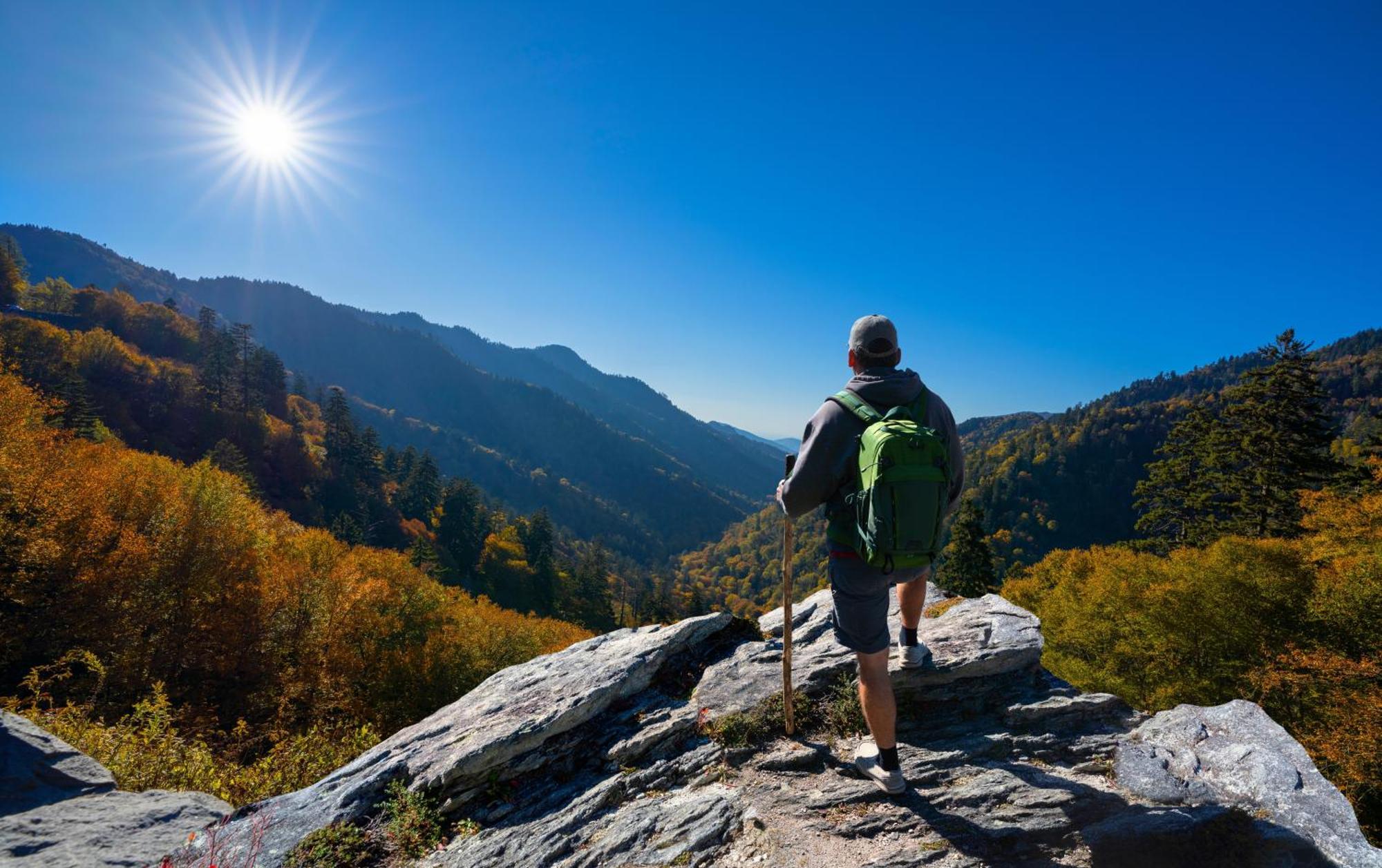 Smoky Bear Lodge With Guest House, Hot Tub, 1089 Free Tickets Each Paid Day, Dollywood And More Севьервилл Экстерьер фото
