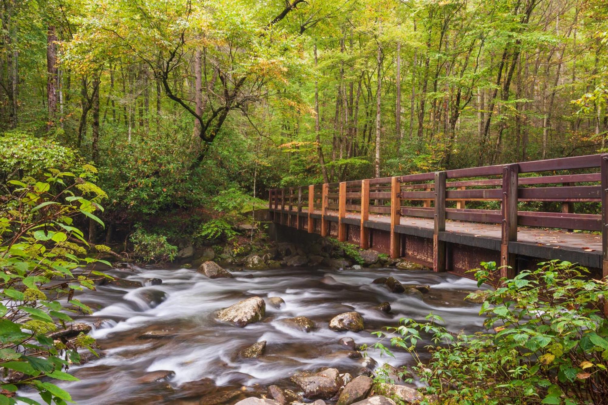 Smoky Bear Lodge With Guest House, Hot Tub, 1089 Free Tickets Each Paid Day, Dollywood And More Севьервилл Экстерьер фото