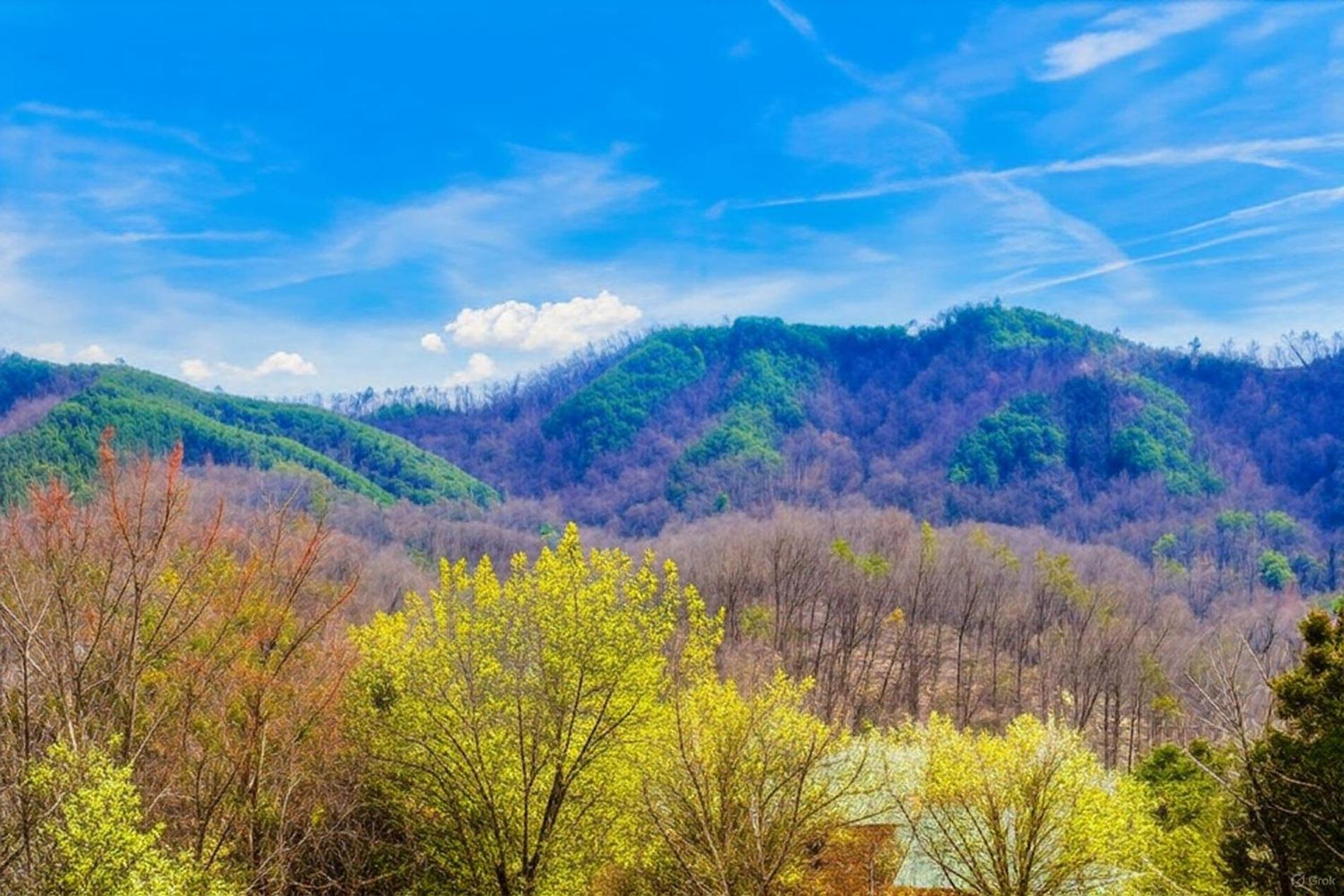 Smoky Bear Lodge With Guest House, Hot Tub, 1089 Free Tickets Each Paid Day, Dollywood And More Севьервилл Экстерьер фото